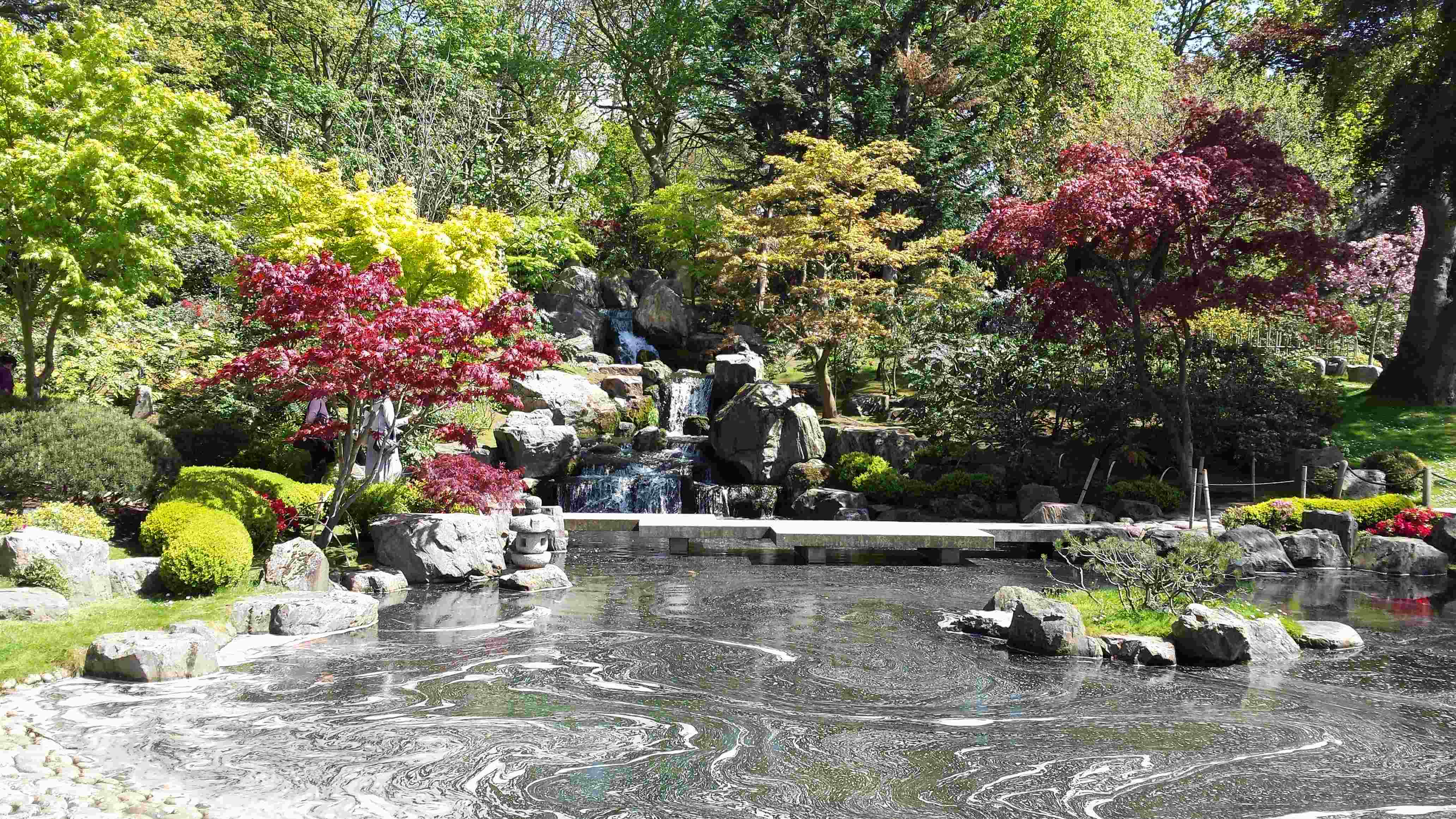 japanese garden holland park