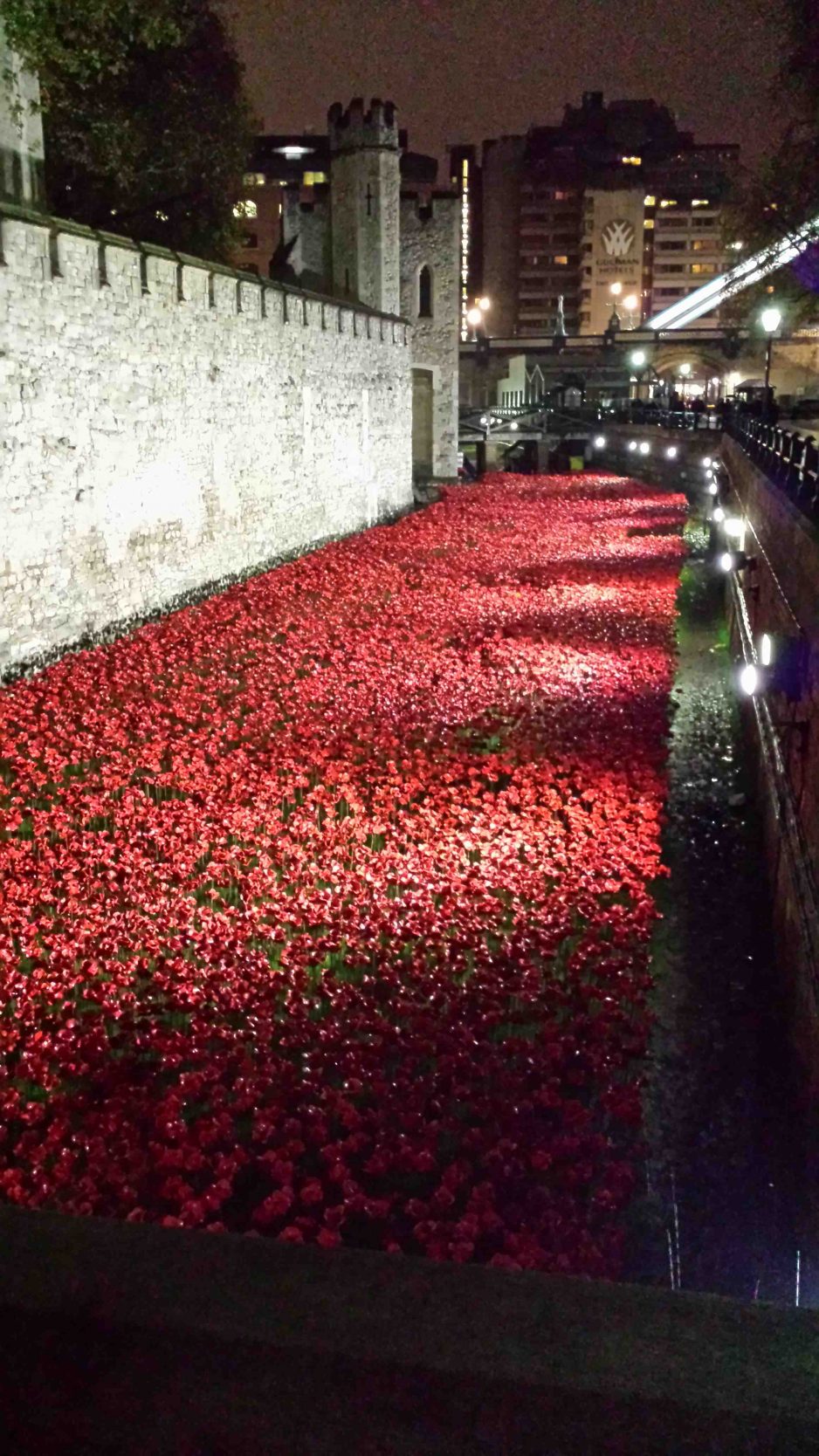 Tower mote filled with poppies.