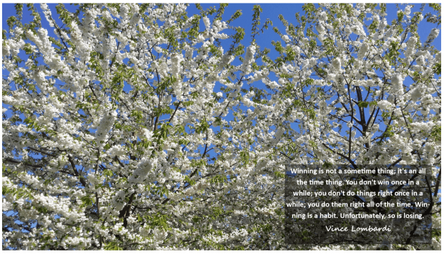 Winning is not a sometime thing; it's an all the time thing. You don't win once in a while; you don't do things right once in a while; you do them right all of the time. Winning is a habit. Unfortunately, so is losing. Vince Lombadi