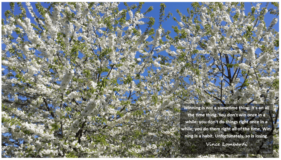 Winning is not a sometime thing; it's an all the time thing. You don't win once in a while; you don't do things right once in a while; you do them right all of the time. Winning is a habit. Unfortunately, so is losing. Vince Lombadi